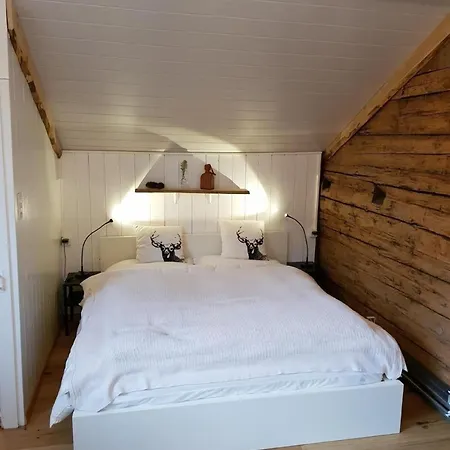 Chic Mit Whirlpool Διαμέρισμα Wildhaus